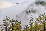Yosemite Fog_22845
